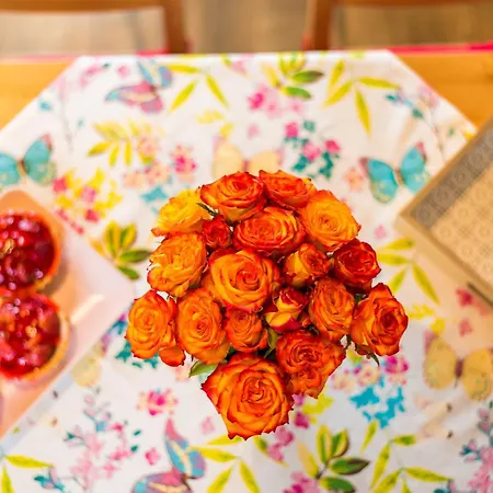 Apartament Fala Dębki